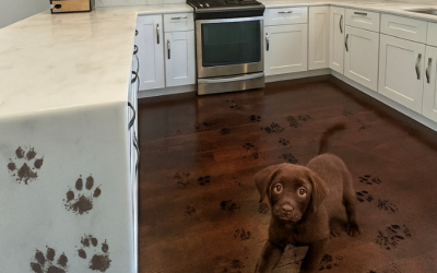 Back-to-School Cleaning: Get Your Home Ready for the New Routine